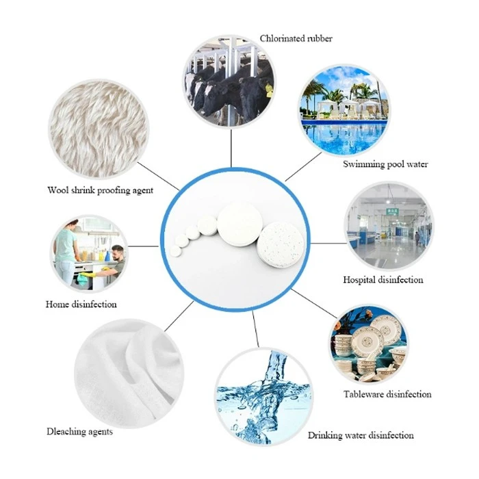 CAS 2893-78-9 60% Powder Sodium Dichloroisocyanurate Bleach