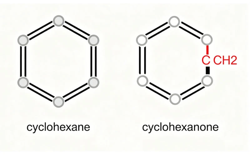 Cyclohexane and cyclohexanone Cyclohexane and cyclohexanone