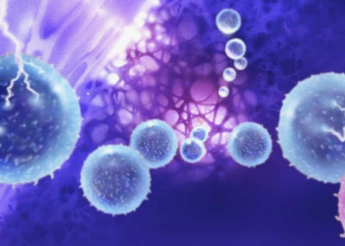 Salinomycin Salinomycin